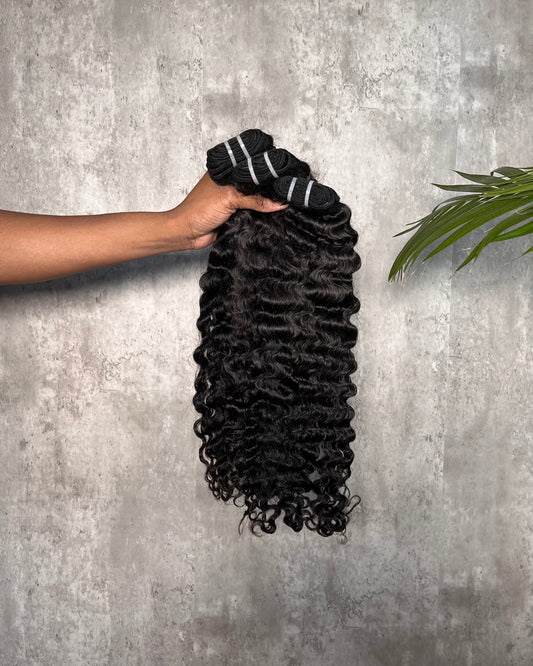 BURMESE BUNDLE DEALS